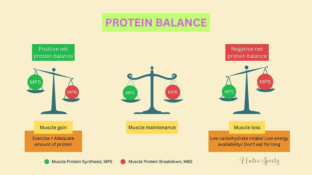 An image of protein balance.