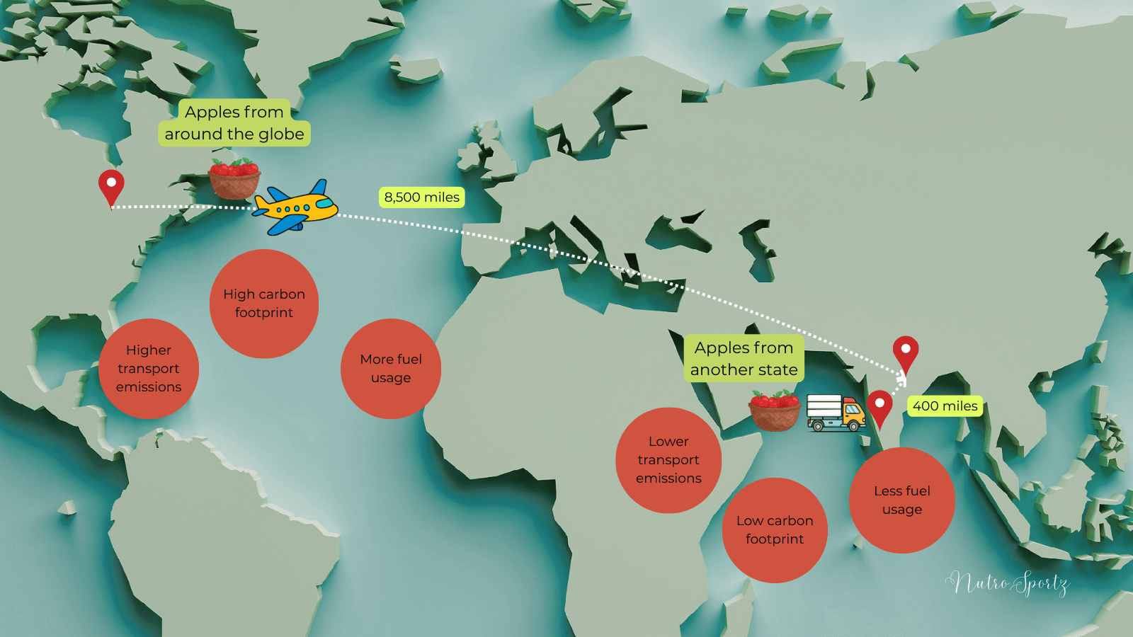 An infographic about how to use a balanced approach while choosing local food and global food.