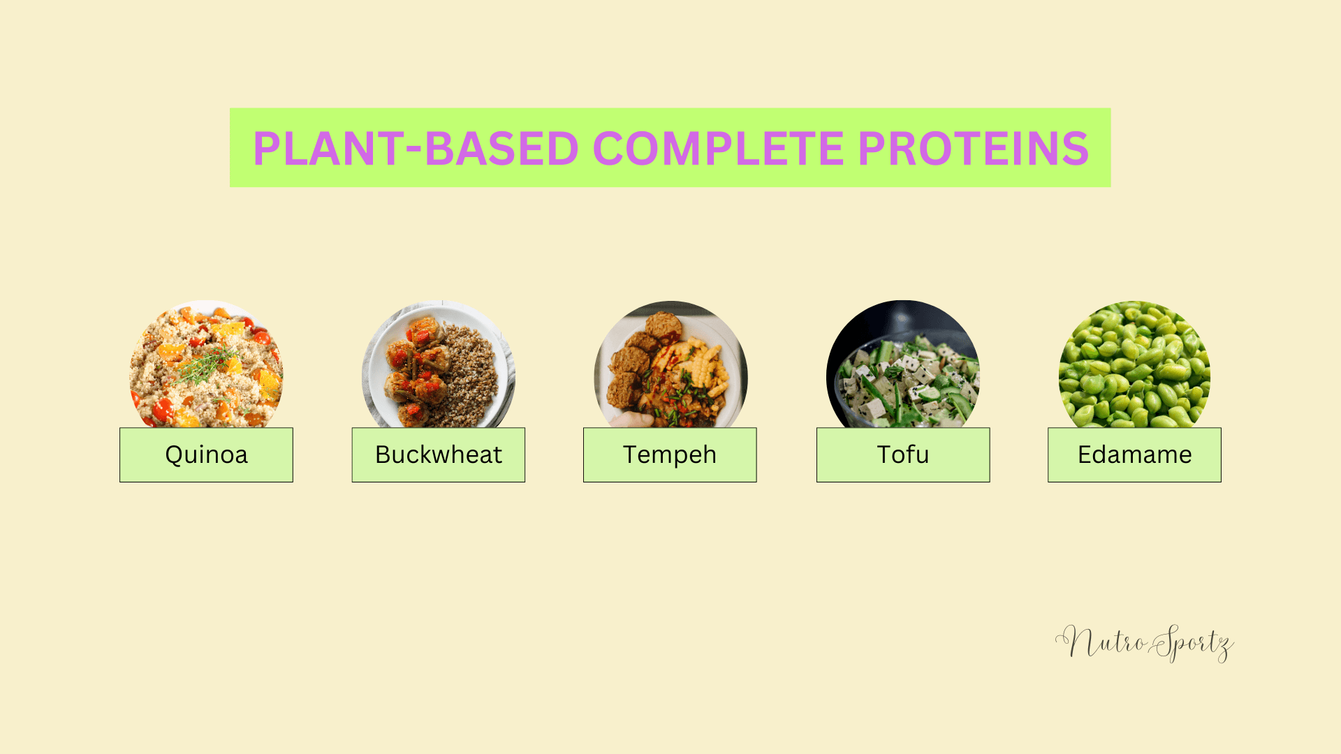 An image of plant-based complete proteins.