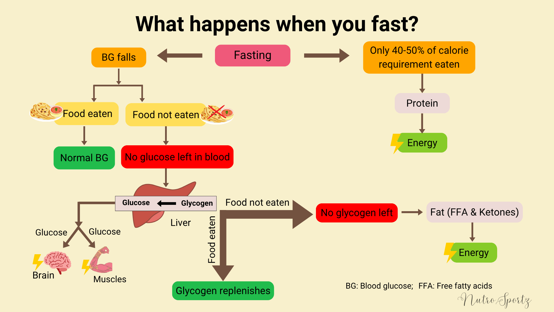 What happens when you fast