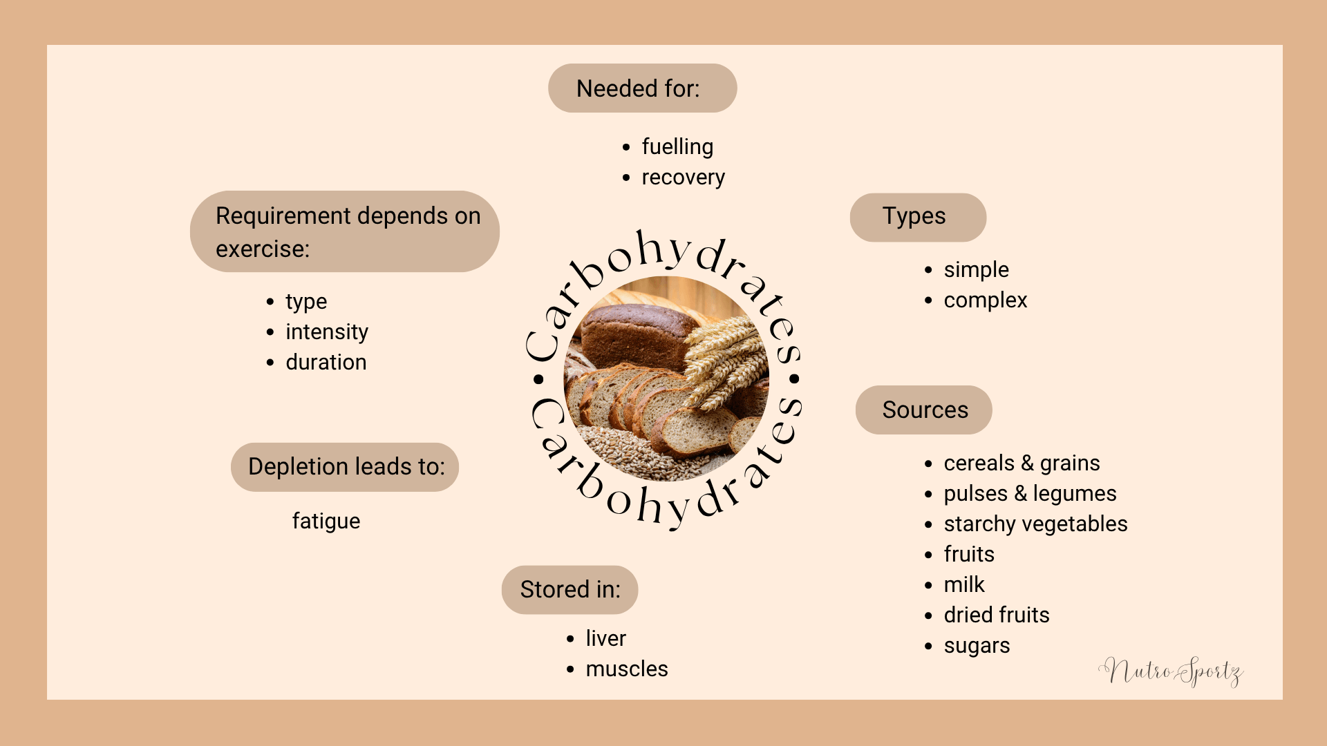 An infographic summarizing carbohydrates.