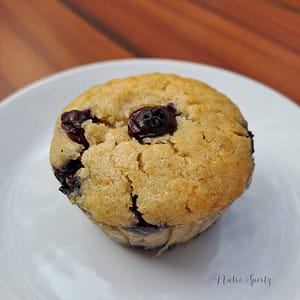 An image of eggless blueberry oats muffins.